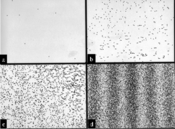 base64
iVBORw0KGgoAAAANSUhEUgAAAK8AAACBCAIAAAA5Vn1kAAAACXBIWXMAAABIAAAASABGyWs+AAAACXZwQWcAAACvAAAAgQDfALc4AABx20lEQVR42n292Y+k2ZnXH/u+7xEZGUsulWtVV1dXu1fbeGMYe0BigGEuEMOANAIxEhimZUbIMnOFkLjgD+AKEBLiN+PuNrbbdo+73Wt17VVZue+ZsWXs+778Lj7O45NvlCcuWtWRb7zvec95zrN8n+/zHPXGxkalUtHpdFqtVqfTqdVqzeVHrVar1epms5lOp5eWllTShz+Nx2P+Lf9XrVZPJhP+l4/if6evF3/SaDSTyUT+IV+KB3GryWSi0WgUP5Fvq3jQeDzmJ+PxmOt57vn5+b/4F/8iEon8t//231wul3iifDGP4MvJZDIYDJgZruHm3W736OhoeXlZq9WOx2O1Wj0cDrlGp9Pxzf7+/szMjNVqHQwGk8lEr9dzgTx48b58r9Vqxbt0Op12u22327VabbFY7Ha78/Pz4/GYm2s0msFgIE8mj+j3+48ePVpdXbVarZPLD5MpLuN/T05O/u2//bc6cQv+wRuK/1Wr1RaLJRaLKUSB/zJusTDiT3wjL54sENPL9tylFb+VL1CpVMy4WCexwLJsifVWTJA8PPl63lqI3Xg81mq1QrLFwoxGI61WOxqNjEaj/EZms3lubo4barVa7t/v909PTxcXF/V6/Xg8DgaDZrNZrVYXCoV+vz8/P99ut3U6ncFgQHQ0Gs1oNFKr1e1222QysSF5ukajsVgsFotlb28vFAr5/X7WnlF1Oh2j0ajT6cSQGPb5+bnH47l9+7ZGo9FqtRcXF+Px2O/3cw1iJMSRSdAohEBMk3yRxWJRTK58gfiJLEmK/TqtCRi6rIT4k1ar5SXFwMTC8L+y2hBiLgaj2G1MGSvER6HeZE3G/04PQH6v4XB4fn7OZUJQtFptoVBotVpihBqNxmQyzc3NsUhardbj8RiNxsFg0G63o9GoVqstl8vZbLbRaOh0Op6i1+snk0k2m0WpyEq62WweHBwkk0mn02mxWJxOJ99rtdp0Oj0cDvV6vZBpjUaDstfr9SaTyWAwaKSPPKtcKZSfbnqZFR9Zj8kKTWzl5y62PINCEn+bcRGjkZdHKGSxNbmJUA9C7ITSVpgkYSZkEZTHhpTIjxMCITSw/IJardZmsy0tLXW73XQ6HQ6HUSdGozEej09rO7PZrFCZBoNheXmZ/43H4xcXF71ez+Fw8HaoiqWlpZOTk0Ag4HA40OSTycRsNkejUXlb8r1Wq11dXeWGOp1O1qDxeFzouclkEggE1Go16kc2f0JJjMdjnbxjFMpcof8VqygrGVlEpvfctHpgEsUqyjpZ6H/1pW3GOgrNOW0IeENZUuUpU4xB/q0scIorZUuksC9ardZgMAwGg0qlYjQau91uNBoVt1JJzgfDRrxGoxFf5vP5UCjErQKBgKyMxXNdLpfBYJhMJrlczmaz2Ww2jUaDbAm1JHa5bFvlf3BDYUGGw+FwODQYDMLUip0mZuY3mlOW62k3UN6IshzI+1vsOVZaeCjT3oO8Hbl+NBqJJRGDw1TzIO4pD4YvxYyLX4mni+sVkiqPDYkRFkfof4XpEVMvdtva2trMzIzX6/X5fI1GQ1alwoTJ+49Jn0wm/X5/WjtWq9VsNivmX6fTlUolYbDw7sUMyO9Sr9ebzaaYFp7CD2UrjJu5vb2t8MfVV92DK5biufZCoSrUVw3ttCJR6BKFayNrdcX1wiEVe/25EiBPt2IryN8IwRJLOL3ejI0r2UPTm0HcZHoM3HkwGBSLRbQ9lw2HQzk4klWpXq+fmZmRtwSjNRqN4iej0Uiv11ut1vF4HIlE1Gp1q9XCD5AVG3eo1WpcrJKcd7EJeSl2lMlkWllZ0el0o9Go3W5bLBauHw6HYnI08pgUalax5Irv5Y+8CxXmg9GIO8t+nNjHo9GIa8TFaAvxpfAZFSpHfKO66hMoBF92VhRvJBSmQprxs2TZUnhC4ukajWZmZkZeBmFlpnW4PJPD4bBarSI9w+GQEJfRWiwWl8vFLs9kMvfv3+92u8LLER+NRhOPx8Ph8Onp6cXFBbMnvywTqNVqz87OSqUSQc1oNLp3797W1pasFNknV2IthUH9G5ZflndZqcrLPH2lSqVqtVrtdlvsLcVMKdZYXi1eXtYu8g5TXY0mhMxxK1k+ZKGRN73wVae1gmzm+v1+JpORhaZarXY6HS47PDzc3d0V1g2RmvZwEYVGo1Gr1bRabafT2dzcFIpQePusnM1mu3nzJrpHnk95kE6nM5VKCSxEnjSudzgcFouFuTUYDDdv3szn8+12WzYrk8lEp7qKDimMgvwavOT0i02rB9kuiPibuzFxNptN/FCAFpOroYp822mbpVhg9dXgUy0FMsJkCDMhP1SWD+HrMUdqtTqfz/d6PXS7+BDri7HFYjGhjWdmZkqlEoZfpVLVajWTyWQymabfpVqtdrtdUApiUYVWEwNzu93C8AlHhH+I1/F4PDabjUhSqDF5Qlwu1/b29uzsrN1un0wmHo/ntddeMxgMqqsuuU78QHYDFWpAfRULUv8WQElhKRVKkp/4/X7hVcn6WehYWXdN736F8P02QXzuBmLNRGwinjitz8VozWYzFl383GAwJBIJhYcxmUwGg8FoNDKbzfF4HP2s0WjwLs1ms1arbbVaQAKj0Wg4HJpMJgJItVptNBrD4fBzt5YY6t8wFcVisdVqzczMjMfjVqvV7/eLxWIsFgPu5JXVanUwGDSZTEJZgk5iLH6zD+X5mt7uspAq9Kr8p+eaXoWmUUmWVZanyVV0QWGY5LGqpxAF2W2W97T8EVG4wqZMWyLcLrUUHzmdTuz3NDo3Go0KhQJj0+v1hULh0aNHQgPhrM3MzDidTp6Yy+UGg4GAwi4uLvhfMQxGLiatXC63Wi0RoIprKpVKtVrl1ZASg8GAS6jX6y8uLur1ut1ul00hY/b5fEajUZ5e2eX6jW74bfpAsfkUl8n6X1686cj7t0mGQsjEPph2DLPZrMvlwnNWS7GJDI1Pv4WQv2nXZ3I10hGvI/xTlWRNVFfjN/UlwtFqtdxuN5cFg0GXyyVuotfrS6XSYDCIx+Pcc25ujodyk8XFRdlaidEKJQ82ML39eLSsWZ1Op5BmTA+IgsKlFTeR31QhiDohI9PqQewkgf2prhrsv0GGZJ0vfymLpHglxX/FE3n55/r2CvWuep5DI6dLFFZAnhqF1RB3YN4HgwGJBvm3w+FQpVLNz89jFPL5vNPptNls4pXH47HX6xWqWMwk7oWcjhJAHPktMQDiFAETiS2OTRHjF6peXnWGJ96Im4iRyBtAXPnrGRNzJDsvIo8ivlFEGcPhsFgsyrI2rcYVgjWtDKbtverSm+O3Qq9Go1GTycSV2F0x6X+DlZGVjbi/nPcT2kU8WiFM/X5/e3tb+OriT+l0ulgsip+02+1+vy/uLxwjjJR4WYWKVmx6IZHynpE3kjzVir0nZkzcVkbfhbiLGFWInWI7XdGxPK/ZbKZSKWF1ZPMjK9VutysbfjEaMePiG4EmyQInX68YgDCWk6kEhAjYFGsp7iA7oewJoQblyRLTobAyYguSdzaZTNeuXcOZkN8uEon4fL7hcDgYDFQqFcLKYFBmaDXZXVdPoXaTS1RYNeVuKwRaloB+v392diaQmGmNLt+W8ezt7VWrVYXbLqISGQG6kr/mK7vdPjs7q5GyzGLrgIip1Wqj0RiLxQR+p1AA4no+8jhkeVKoJcU+lr8XjoJQHuqroIjYUooEmCzTCo0lOwdcL9aPRzSbzZOTExCb4+PjWq0mtLrRaDQYDK1W6/j4GE3D7qzVahcXF4rwVVZ+R0dHvV6v2Wx2Oh31JdjKX0UuUS0lSNVqdTabvbi4UMyGkGbZ0RG+lJiE0Wi0s7MTDAY9Hs/03lZLaO+vzc20VicTqvDA5Q2ksAiK7+UBTYuavBKTq7HTRMIJZMn4bdC64k0mlwimLHZi8NNfqqe8SPHpdruZTEav19tsNm5ot9uNRuPBwcGDBw9EGtDhcMzPz+v1eq1W2+12B4OBy+WamZlhVURiQjxFo9F4PB69Xt9oNPb393u9nqwL+cjagl+53W5AAqJTo9E4MzOzu7vb7/cnV3GBdruNURM/1+l04XDY7XbLOXqxpSdSeIy+0T13puQlVF/FMZBi2frKL0x0K99zIiFL6qsOnZBuOaoWAiGrEPkzuUxsyrpRtr7qq1iZWvJ7ZHGUPUeB4Ip3BDzQ6/Wnp6dms1mj0Vit1lAo5PP5tFrtcDg8PT0NBoNGo/H4+DgWi2WzWa/X63a7VZd4sFjg8XhcLpe5udvtHo1G5DDVUpgti7hayjuPx2OUkzC+LGQikZB3rOrSm/H5fF6vV5hI/lur1dANCkuB+4XKj0ajOtwcMZrJ8yLy51o1cdk0BixmX/65+irAgJMlVlesnKzkVRKhQaGEFHIgBqB4BYUMyfcXAiqUv7w8JpMpkUgIu0lyeTKZWK1Wftjv951Op16vV6lUBJaBQABoT76neJFmswldyu1281LBYFBAwvIGUIxNbCcxFSwhIiLv4dFotLCwwE/kmKXX6/X7ffk15fdttVr5fD4SiRgMBjV4g2zL5fWTZVZYMnmi1VNxxLRgKW6rkqImWVDkGwqhmVzlN0zbGtVV+FlzNXOovuquTi5jLZXkYGquZq0U0qzT6Xw+n/qq66dWq/V6vc/n44Yej2c8HhcKBa/XazKZFBdzq2QyiXc5uaQaqKQ0DcpGvHWhUHC73WxUgRwIV0BmvMnDFvwuWR9PJpNAICCUn8KbwWpYrdbfzLbCqCtEQXgA0yIi0Hjx12nATn01uJf/LT9RYTtlCzp5XtAhD0YzxViRpVbhfCnEHfxOdTUWVUvelljR0Wh0cnKCqRbcSVn94FMLG0F42W63s9ms+tLXE2ylTCZTKpWE2yjieZ7VbDYnU7Gl+tKly+fz4rfyhGu12vPz87t37wqyhZgTeeqEJuavRqMxEAiIWynzuYpZm1zF4FRX/QnFZbKgyCGJ/G/VZXAsG34BocimRHYjxHDl4Wmm0lSKYciKVGHyfoO+6XQTifkyucw4CElSOBzT9xTTnU6nSWiRi2dDI22y3pK1rHw3QbOYm5sTMjq9RSHEyrIoto3FYiFJISyFWkK15V0kv508LTp51yo2hDytwnSpJU9tIuEN8tZX7EvVlMmfSFRH+a+TqQBavoksHwqnRF4t2YIoXk32c4UaUKSv9vb2ZmdnnU6n/JoajQaaoULPidfX6/WLi4vi9fmtxWKx2WyTqzDDaDQSeKLqKgVc/TzPRp6c8XiMoyp/hMPk8/kcDodsN8Vz8RkFsAurVtjE3zCDFEpb4XzJi6GQErUUoshqQMT9YjcrKEzyI6aN1PQuVEs+hPyGCpUu2xrFu6gvfXLF/dVXs1b8KZFImEym0Wg0GAww53IED+Yodi2wxOnpqaxCmPqJhAeoJfoMm5h04ng8FjQWrVY7GAzOz8+73a7sm1er1VarxZc6na5cLgODTqtw8iMyQ5rnptPpe/futdttVE4+nz85OVFLCQvx71/Xhyg8KYVKmbYLQvlM01BVVz1HtLEc78rKXx60rM0mUrpI8VeFpMr+s6yKsKzyqqslwriYArSuIFwRUDC8k5OTQqEg7oPc7O7uAlOKqajVaiqV6uzsTCUFCLlcDrRKxsQUmwqhOTw85OlElY1GI5VKcVmpVNrb2/v4448fPnx4eHjIN61WS14dsXAy+0TMBuPR6/V+v5/UvFgLMSTZadPJaywCP4WHIp6qllKCCvxfHpn8X/VVt24yFWSqrwYmsiVSS06iAmSU31yB/Sk0BBcw14J5IM+X8K63t7fD4TDZJpVKRT5QphdrNJqlpSUCffEidrtdp9MJnF6tVh8dHXm9XsFWkqdCr9cTUAgngAotLtPr9Wtra8JrMZvNkUhkfn6eVZxMJtVq1el0EsXIbze5Whymkvw/lUoFvIHUGgwGqDHyRInUwRVoWbH2KimtJ/BBjZRjnf6hEBQ55JNNqUJ/iChAXmBhzmUJeO7jVFd9F4V1EA6KeAXNVTKELJoajWZ2dhYFXqvVHA6HgHfEttNoNCJ5Ju7pdDpPT09nZmZ0Ol2lUmm325FIBJ0spzRVV90gsdlIkE5PIHiXPMjJZAJVH3ki5c0/hFPMn0TOmQkEckilUuFwWKfTYU2mpUEl2C7PNd4yMCImURaOaQGSUZdpn2B6LmTJUF3N1IkAenpsCl0i2/XnGjvFHWSPmn3ZarWy2SyA0mAwoEjtN9ZUKkjiKYLayQffbTKZmM1maqHUUkyveGtZdqedaIV7lM1m6/X6tB1stVoHBweTSwhcvPv5+TlMfMzf/v4+Wa579+5Fo1Gn0ymkX7F23Fb3XLdRFlWulitY5BkXm1vxW7H1xcVygZRK4sUotqnQSQrhU0u+27SG0FylVcqSoRAR1aUd5FloDrKRcMl1Oh0lyLLWkW8C9rCwsAB+B5WB60GfhJOvkVJiMjjLVpajHll6hM4TAaqsQUW0Mjc3J/+q3+8fHh4SnYpph38aj8cTiYROpzs+Ps5msyaTKR6PE5tgQ38jDfIdZSFQbCN53yu8Zfm3sgSIrSCwF4UkChhEbB2FXlUAhROJ5iQ8AIWikp0YoXiem1IRl41GI4vFMjMzUygUqtXq4uLi9A7hv9VqtV6vR6PRpaUlcVs5QyvvGZ7Y6XSozeWhZ2dnfr9fQJayEMsGWsybx+ORx0yogqIyGo38kG2m1+uj0aherxeJZZVKZbFYwMGYolAoRPEFxByFCVYLlqxCowq2jGrKTVVsVnm1VFdDUIXCUBiO6W9kpQoqoBjA5BItEE7TZCpY1Ug1fbJrqZHAf1kocXHQCvCXJhI3hMsgMLLwmGqDwcA1It2FZJ+dnbndbofDIWaGlIcQYqvVylpOrhZgMaUYR1nQxTgF2VWhg8vlskql8nq9arWaJIjYioPBIJ1OCxWiUqmMRmMkEpG3lsJl+U3889sWSVYV6qtYtSJ9rLqkWijcAtlGqq4SUlSXfAW5UliBecvKQwHPaa5WcAs5FmGh+rdEpyopxBVKy2AwsOGoRiJErNfrBwcH/Nxms4VCIVnJc/+zszMkxufzWSwWIW1cRv0kAIbX64UYAX6gVqvT6bSicE/sJdmHEEIjImSR7cRzFPaIKw8PDweDwfLyMgFzOp2m9FuA65Orn1/Pp+yOKay+rMDl4coCNO24KVSCEHN5edRS7CBsioygaSSKjTwMheWSnyhuwgtPax3hLshKDjVLpkC8F0JwcXEBn2B2dlZ+qFqK0fkvHHmVSuVwOERauFwuA//l83mA6vF43Ov1iFnq9TrPMplMcKsEw0qhjydXq4lkz2Mymfj9/mAw2Gw27969WygUxCu7XC6IF/yv3W53OBy1Wu3o6EheGnly1AJvUE+5h+qpAmfV1Edeb9WU36RQR7KHobCvsmTIP1f8SR6Dws2UzYHsToq5E+p3cgn7CPUgqAPyi/t8Pp/PNx6P0+m00+l0Op2MWWHa+UkoFJI3Gc/tdrsOh2M4HLbbbVF7z/JQ6i8epBLUo6sUcNl3FsIqAySHh4etVuvatWtWq5UUvLiMuhXhGWC8BoOBxWJBRgkyFaupe+4yT9uIaX9HXh55zeRtqnqeb6+SkrnTW0Et+adiFcdXqdLiJgrMW3WJQso1dLJLL2AMHG+MMVxcee5kS4fVF+BHo9E4OjpaX18Xg+E+3ER+5VgsRoElxkUWXLhG/X7f6/WGQqFer5fP58PhsELRylpZVhLiS7vdbrVayTiEw2ExdfKzVJIHqrmsuahUKvPz82KriDv/Bot8roYQ34uFUT/PGZSVwXON37Teng49poOxabhTeF6qKUsp7iY/ZVqgxeuICep2u6enpzdv3pRHLh4hOCxCVvr9fr/fHw6HzWbT4XBUq9VisRiPx5EwMWBslhhMo9GgBmZ8yZc3Go2iiFZGflVXWw2p1epWq9XpdCj8Ukl+GA06ZE9TfemAi0hHsQrEKTB0ZL/h14ZPXlGxz2RTrZryBmR4RLbuMl40uQRGFKzciRRMyzC+WuqYpBAmMSmKnSEo6gq1pOjBoL4aAysYLtzH6XTK9Uzy4BXSb7fbV1ZWwCeotTKbzb1eL5vNDgYDQAs+chcVanAnl2xmg8EwPz+fTCZhIxsMhpmZGQVezrqenp6SH8/lcvfu3ctmsxTxkTzjvTqdjii50Wg0+/v7sls67YPL1H55RZ5vKYQ/jF+j8AAmElQyuURvFGIkBFx1yWbQXO3HNpHAAGEgJ1djV5ktJxT4dIWCHEOK74m/VZdEEpl6KlsfcQfib/VVl3lyNfchpI2LNRrN8vIyg1xdXRVRqEoC1oSquLi4SCaTer1eRGHFYlGv1/d6vUaj4fF4SGqoJY+YF4E/53A41tfXO50OlZyFQsHlcpnNZu6fy+VcLpfT6cxms5FIRCgk1VUATaHyZTf8N17k5CpaIO8w8Q0WUREsyEsilL/CXshroxAF2TQqPEd57yroVZOpQFwjpT3FHZhEETXIEo9yFlGZyPdDcsGyThs7mYIgCw0zA+DTarUgTqovwTHt5Wd+fh6GNPMwHo/b7XYmkzGbzaFQyGw2TyQgSISver0eeIAbGgyGYrFoNBp9Pl+9XhcrkkwmBWoyGo1eeOEFIZHTMqHT6YCwZPUpZvI3lXeyyVSoWYH5KJwAWUXLXphi18q+nmzjFWkkzVQ+TOGBynxi2fmQbZY8GJVUPSK/PwIhR3RCz41Go06nQzcuWf4UPn+r1cpkMtBb2O47OzudTufmzZvkuuROMRqNptfr7e/vGwyG69ev82UsFotGo6qrcJkC5hfyqlar2+02Hf/wkUEzZVug0WgQC4UymEhBSqvV2t3djcVi4FQy0sXFOtWU3yTmVKHGZVKyeKRiu2uuphJ4Er6PMCuaqXSDQqoUoi0ESwFbCZ2vuuoCy36TPC/UGmgkqs9EwiiFQAjNob50uVVXUXZcS7/fL15qPB6vra0JH0hB6x2NRiaT6aWXXhLPkqH3dDpNxz/V80KJZrO5t7c3Ho8XFxcjkQhZTZVKRWsORepnMoX9qK4mxnQ6HQ3F5M0pz7BOdVUC5L9NroY007cQQiBCdnltFAm6aVGT9ZjiZaYHoNDSiuun7aK4g8B0hYsjY3may05TImVVqVQqlUoymRTe1vhqCRB8JGgQwhGR83PFYrHT6cRiMXnbiJuI3cWqmEwmEqeyl6ZSqarV6tnZWSwWc7lc4/HYZDIZjUZ5QypifsWsqlSqw8PD4XCYSCREBYDRaFxaWhpLtb8Tqc2SWsQUsmmYBuwml8GYQu7kXXh2dkaBmCwQcjQoT6u8ZqqrfoN4McEIEgpAIekKg6K4iVDUQvORZdDpdChbJECoPVTCYDAwmUzkJNVXoVL5ufV6HYPV7XafPn1KP1Hh/NpsNnj36XT6yZMnnU5HsR9kl8vv9+v1+uPjY8VOxVEwm82Li4uLi4siRyXrZnkhFFOqVqstFksqlaLETwQUTGChUHj8+HG73RaeDXfQydOqsBHy7hcT+lxdolKpIGLL2SwxREFMVUs+s2JbC+dLrLrswcgirzCNIvRQWAeNVKyukqrzZIsgLwyPJmxhm8r1Pwy12+2q1WqTybS0tJTNZnu9XjAYtNls5ALEjhcZQugOcmMlcUOciYuLC5VKlUgk5ufnZdWlUqm8Xq/f70dGxZeKmFBeBfnmjCQSieh0Ovg76qvOO2lbYRbz+fyvfUx5SRQ7QHXV/Mt7UZYSvseSyR4GAi6kUmhs+Q5QzuXIUF5phU8gMqti6ysQVvn+ilfAFRA5aGSID78llBDJSdqgyDFYp9N58OCBw+Gw2+29Xo/OrlqtFrBS0GKbzeb+/n4kEqEWFoRYYA+yNPA9WVNFGZ3qEuKU9fG0LhRjU/xW3AF5EpMjJjkYDEYiEZQuzY5RDzrFLdRXI37h+qkkA68QSXnvChup2FiyIE/bezFZQsjETpXN/DRcIZoTqCVsSmE15F5PKpWKSFKWSKGuKEeW5UnW7Waz+aWXXjIajfl8nhbDCEGr1To8PIzFYjCgyBXlcrlgMDi5GtPLk5DP5+12+8LCwkTiF8oXCFdMVgmyA6SWQj9ZMsRbK0r0VZLfIy+W0WhMJpNQc69IgzB+CoRczqPIkyh08nR0q3oevWVam2mkhPJzTYkiDaa6DL5liy7vj4kU18lYmcL2q6TiO2FuTCaTLPoTKXkoTADJaFFbAc1Qq9VS66hSqQwGw8LCAilKmYEh9gmyi1CK4EWYSB4nHCxRASHPkjwhXNnv941GY6fT2draajabsVgsmUxOi5e8dgxAkC1+g0xP+w2yapJXQiOx3cU0yauuluAaef0mVxs6yV7IeKpaVFh3IZeyLKqf1zlXIdCyFykr2/Flv2rNJakCNObs7EyGtOXZEP/bbrdPT09x/kUDr/F4bDAY1tfXSXjyc/q9PX78uFQqyW8kz0YoFIKmppHalMpO90QiN2guGRuyTRQTPhqNjo6OqMuALC84FrK2EFsdISPVolD2OvVVOFaxTRWLoZh32Q1WKJLJVSqm4iP7twqveCI1fRpLtGn53eSfizGIaHBarygAZrWEGeM6zMzMaLXa/f19p9PJuopXEGCoWq2uVCrpdFqv11er1RdffFHm7yjsN/GLvJ2Er1qtVu12u3AUOp3O8fHx7OwsDoS8G8UrFIvFQqGQSCRwzsQ1Qj4WFhYQKYBIMXgZMRKrg6E0GAwKv0Qt95mWF1WxQtOQ87Q0KOyTfJm8rRVu5kSKuERoIA9AvLZaAt0UZkV9FW4S3bvErbRXDzSYHh6QJdne6aJs/ms0Gq9fvy7yQ9ON7+WRG43GlZUV1RQ9DB6zXq9/+eWX5TH3ej1BoZBnHsHq9/t/M6MMYzEej6nSVMC1CsCNlubZbJZKDaEv1Wq1blrtywlvtdSdSq76liVXHpbMBp7OtSsct8kUxiBeUvM8khIzK/vncs4CvUf+UOCJgmDHZpWFW8ypsGLRaFRg+CqpFllWkyKLIcYs+4myDCnQLZbBZDKFw2Gbzdbr9bgbBTbpdPrs7CyRSMi0ATGB9B6fnih5j4lC3nq9Xq1Wgb1Vl1iqeop3bjAYhMssBv+b8jSF0ZXVsrxCCkdGUcghXzAt5tMOsOKhE6lRnpwZUl8NomTxEost/op3NpGiD4EyCU0wHXepLg+cEU6MYvDyrCn8AMWoZK4XNZNer7fb7R4eHtpsttnZ2clkUigUOp0OhKXxeLy9ve3z+SAxBAIBUc7V7/c7nQ5dKdWSOywGLMs0GzuXy9GSbHo5xFCDwWAwGFRJqR++1+EVqy9DI/XVFKLQCthXWZXJWKxa8tFUVz1KeaYU6W9ZAcj+hLzDZJ9GEXGprnobPK7T6YgW++KvuFcyMqbQkM1mE+qARqIRazQal8tlt9tlJSfzYxVy/9xAUfYQ6R2mvqTGqy6BYfUl+Li7u6vX68vl8osvvigUYa1Ws1gsNBfjhJyTkxNOyZJ3CHPb7/ez2Sw8KIW8yrYDL1IQ+X+DRf73//7f0VoiKHe5XN/+9rdpkK/Y1gqJE5MilAffPPcwGcV/5TsonErZEsmLrb4KqE2uhpQCthNPwUyI2EHhFIsxazSav/zLv/yv//W/Tqai8z/6oz/6x//4H9PYa3o2FFOh0WjoJU5BPq8jSuh1Oh1s27F0RJtare50OsVi8Xd+53eEnAmLTNw4Pz9fKBSOjo7K5fL29vbXvva1x48fx+PxpaUli8UijAVr3Ol04vG4oEipr9Yeilmt1+vn5+crKyuK7af7wQ9+oLr6iUajb7zxhsvlkiVXniNZ6uWNLguNYv1kayc0h2JCNdLhGXJzaDn1p4CY5IeqLrktHCbGYmCqFeOXxYi75fP57e1thTTwvchNgyigR+VoWXt5HB76VY4gELWLiwuLxSI6NYmaIi62Wq12u11+KO/ebDYfPHiQSCTm5uZsNtv6+vp7773X7/fz+XwsFtvY2IhGo7RaFpO5ubnZ6XSuX7/ucDgUTdCGw2E6nR6NRjQ4ttlsouBHBkWUWORzP/I0yXGmrDZl506ea3n5BcL4XOFgsTOZDCHfdAig+KH2atdnEZpPJhMUMosnM2CFDIm8vixPRqMxFAplMhl6gqpUKrPZHA6HQRcuLi60Wm00Gp1MJvV6Xa/Xm83m4XCYyWRGoxHnElgsFs6c4XF0COcoKWFEZAUmnFzBhaE2KxKJOJ3ON954g0k2mUw2m+1b3/pWq9ViclZXV+WG8tx5fX19IrHR5OkCU2k0Gpyiqbks+pZXWS1ymIqPrNJVz/MNFbKiiNnkeF1oUbHL5WWWn8JbBYNBsH2FHAibIicXeLQQC4PBQN5PfGTrrhDridQBiWl1Op3f//73k8mkmEc5Ux+JRBwOR6fTmUwmtVqNBvHD4bBcLsuhzfjyQw7F6XSGQiFR2S37gOK5/X7/8ePHW1tb9G7a2tqq1WridcaX1fHRaHR5eXl2dla+oUoyo3IUOhqN0uk0fQQmk0mlUjk+Pr527ZoMFSo+v9ENHo9nYWEhnU6n02l5T4utI+9yhbjIO2xyte2UuEBIgNzSTCFSCLVcDS37OPKophUGGkKcJyD0Fq/D6a5qibkjD158Qzrn7/ydv/P06dNPPvlEjjYZHm1dX3jhBTrLQ2MB8JFTLUJlGo1GSAkCBRoMBiywSOWkUim73X7jxg1YkxaL5dVXXxUImFarffDgwfz8PD0bFPOmUNIKn313d3c4HL766qv4wm+++aY4a296/n/tRTIj4XD4pZdeUqlUuVxO9stUVz0DhTstZ40nV4ufhJ+seKTs5U1rFFn+xEdzlcIkv/M0WCu+5+m47gL/UFhuBa0Ljb21tfXtb397Y2OjVCqJkXDzZDIJC4Y7yDlVeWBqKQoVhokBHB8fR6NRQQabTCZerxfUQXXZwVqertFoBHApbxuFE42npQBCtFrtl7/8Zb6nEyoegzxUOQZkKn6d0fZ6vWBesvum0AEi4yILhJBN1VTkLZs0leQiyBco/leeR/FoOacqi6k84zJKwTi5szj+US3BaOL95ZatfNlqtRwOxxdffAFFRVwjuz50zzg+PibXoLA+mqvH7yiwDTn2m1wyAcQA2G/VanV8ecQxHDj57TRXycmNRmNra8vn8y0sLKglEBovVQ6q5d2rklJOwAe/rv5jxD6fr1KpLCwsbG1tqS59NLEnuIWiMb/mKndZsTlkWyNbJtXlobDTDoSCpS1eQPO8sxUU0iO/oRyIynpOYSMYSbPZFL5YrVb7z//5PxsMhvPzc9GvQ8iW8AEZEpz3TqczrRsmk4lo2qVSqQRdZTweX1xcDIdDVlp9FacS81atVikLFg/lgqdPn3IwlajqRFh1Ol2xWKxWqyrJwxN/FXZTfDO5ZJQxWr6p1+vFYvHX8yLKVAaDwczMzP/+3/8byEzevjB/5Kaev03fCo61PI+KHI8sDcJRkpdWkdIUvxLVEAr1IGZBXC/+K6ZPvng8Hrfb7f/v//v/tra2bDabOJxU/rzyyiuvvfaa6P+ouLlQMIrXnEwmzWZT+O0TqZWraDUnCrPkYFV+ZbEBxMsKLSWAqenXlwVIFg7FzeVdJAam0WjUVquVNmPiYzKZbt++LYo35CcpXkBoYPmVftv4JlIPEFmXyuuqkO7JVRupllhMk6uwoPySsn4Sz6Vwm8hzIvHeBoMB6mF82T5BbCm1lG4eDodsGLFtBMygumTKCIoD+sNoNAqAWeAQ40tiVaPRoCUlF3AUotvtbrVak8mEDBal3xqNxm63DwYD2nh5PB6LxVIul6kZaTab/JBy8kgkwrlWtVrNbrdXKhUKb/AtKAgLBoOVSgUnt91ucx6aSqXa2NjQ/ZN/8k/u3bsnEmXdbpecCtWGWq0W1naj0eh2u8FgkIkQ1TLtdpumaJgf7svU2+32fr8/GAwoEO50OqVSyev1djodq9UKZ5xeJDwLZ2o0GsElJAFvs9mGwyFvpdFoWq3WcDi0Wq1er/f09NRisTgcDpfLxaOJ+qxW62AwyGQyEAj8fr9Go/noo49sNtvrr7/ebDaZzXQ6bbVaj46O/uf//J9/9+/+Xdp+DQYDv9+/ubnJCdfVajUUCuVyOZ1OFwwGz87Obt26BdKA8s9ms41GI5vNxuNxWsE5nc7j4+NSqTQ3N3ft2jX+ajKZrFar2+2mlvL8/LxUKi0uLnY6nUajkcvlIEjOzs4eHh5qtVqXy7WwsBCPx5mWxcXF7e3tfr/fbDbn5+c5v5tjDThtwOl09no9o9HocDhmZmYcDgenE3CqSqVS2dzcTCQSm5ubGo3G6XQeHR0Vi8XhcPh7v/d7DocDEWy1Wrrvfve7EHXOzs5sNtvJycnc3Nzh4eErr7xCPtDpdOp0uidPnpycnCwuLiaTybOzs4WFBdCP8/Nzh8Ph8/lqtVqlUpmbm0un0+Vy2W63I9q9Xi8SiWi12oODgydPnqysrIRCIafTeXZ29vjx47//9/++RqP57LPPjEZjOp2+ffu2wWAIBALD4RD3qt1uf/TRRz6fr9vt6vV66tc6nU6n0xkMBnNzc7RBHI1GpVJJrVY/evTI7/fPzs7WarWzs7OlpaVgMNjtdq9duwZAtL29HYvF7HZ7vV4fDoc//vGPwXMSicTJyQndFKANer3ecrm8uLi4t7dXKpV8Ph+QA8Oz2+1erzeTybz33nvxeDwYDLbb7dnZWfIRnFfQarVmZ2crlcpgMLh169bkkghJ4bbb7c7lcqenp9yNijmz2Twajd544w2fz1etVpeXl2k/WKlUbty44Xa7h8MhfTm0Wm08Hg8EAvV6PZVK1Wq1YDBYLpf9fv/u7m44HG42m+12+/DwkNiBLqdGo9HpdC4tLaFUCoWC2Wyu1WpUiWn/6I/+KBAIoIv8fn8oFOIZPp/ParU2m00IIKRMksmkx+Op1+tutxvWRigUuri4qFarlInRNUKlUg0GAzqh+P3+VCplNpttNlsmk3G5XKurq8Vi8fHjx4lEwuPxjEajn/3sZ3Nzc2tra8FgMBwOd7vdi4sLr9dbr9fFgX/NZrNcLjudTrPZ7PV6Nzc3OVGOwz+Ojo5KpVI0GtVqtZVKZXZ21uFwfPbZZ5BE2u32zMyMxWI5OTnZ3d01mUxms9ntdnMAyfvvv8+xAy+88MLc3NzBwUGz2QwGg48fP2bTWCwW0Z0b/X9xcUH3JFID1NRylGoul2s2m/F4fDgcms3ms7MznU731a9+dTgcglltbW196Utf2tvby2azDocjm82y0Q0GQ6/Xw6MfDAYc8xePxzlJ12q1ms3mZrM5MzPDOe53797V6XSZTGZvb29lZeXWrVucwTcej7vdrujmUa/XbTZboVBIpVIWi6VYLI5GI+r86T1yfn7e7/etVms2m9V+73vfu7i4QOggAXs8HrfbXa/XyZ7Z7XaLxVKtViuVCgc4YWJrtVooFOp0Ovl8HmiMNDzksKdPn964cYP9zWvTULPdbrdarbOzM6vV+vrrr3/++efb29tLS0svv/wyPf4NBoOoaDg/P9/f3w8EAjMzM0dHRyqVyuv1Wq1Wk8l0cnKCoDx58mRnZ+f8/FylUrndbs5oaDQagUDAbDYbDIZKpbK3t9fpdLxebyAQWFxcDIVCmD9SyT//+c/feOON3/3d3x2Pxzs7O7j05A6uXbtWr9cnkwmEuWAwKFZFpVLZ7fbHjx87HI7T01N2hUajMZvNmUwGF9XpdMZisXg87vV6+Qk3RxXt7OzkcjnAKIfDwU8wkd1u98UXX/T7/UDgqVTK4/EAQdZqNexLOp0ej8derzcSiXAeiV6v53TecDhM/RYlv0AOmUym0Wi89NJLarV6a2vLYrGsra0Ru56fn/Nb7X/8j/9RpVLt7e21Wi0ax40vz9ysVCrj8RgfpNvtWiyW+/fvx+NxRNhoNLrd7m63u7OzI87/MxgMh4eHbrd7dnYW5YOrxeTu7Ozs7u4+efLEarUuLy8bjUb2KK4DOoZqEISvVqv1+/1AIHB2dvblL3/Z7XZ/+umn5XJ5a2vrm9/8JgXt9+/fj0ajv//7v3/t2jWj0bi9vX1wcNBoNKhjbzQa7XabinqUnGjqjPu2u7v7i1/8wuFwJBIJl8v14MEDtVrN0ubzebVaXSqVLBaLXq/X6/UzMzPPnj0D1CoUCplMplwuo3Lb7Xaz2TSbzcViEbat2WzudDocYUUKMBKJWCyWYDAo0nI0Zmi32yaTaXZ2dn5+HtwQ44uThJo8Ozvrdrvj8fjs7Ozp06d0B3A6nS+88EKlUvnss8+q1Wo4HHY6nRcXF+zSSqWCO6XVaoPBoN1ubzab3W43FApx3s7e3t7nn3+u0+lu3LgxOzu7vb2t/f73v99qtZ49e8YgBoPB6emp3+8HIaZfRKPROD4+djqdnU7H5/Ol02mv18vdAdc0Go3b7aZsNBQK4VSimrrdrtfrhaHFnxYXF8fj8a9+9Sufz2e32202m8fjuXfvXrFY7PV6o9GoWCz+4he/2NrawvrmcrlPPvlkeXnZ4/FASEkkEl6vNx6Pg+TjixgMhmaz+cknnzx69AgrsLCw4Ha7Dw8PvV7vzZs37XY7maFMJnN+fo6vuru7+957783Pz7/44os6nW5mZob1KxaLyWRyZmZmb2+PtHI8HsdRF2FLKBTC4bdarfR/39nZcTgcJpOp1WpFo1Gfz7e9vc2Bu7jSOAf1eh0hcDqd1Wq13W5Ho9FcLsdfacazu7ubSCTi8fj29vbi4iJORqlUunbtWj6fB3nEr/R4PMPhsFAojMdjt9t9/fp12ozQxdjr9UKSy+fzeI5EkfV6HbUUDoc597dYLGr/w3/4DxqNpt1u22w2dNfCwkI2m7Xb7S6XK5/Pp1KpbDZ748YNj8cDYebRo0ck1lKpFB3P3W631+ul4RnbLpVK1et1rVaLS4HVr1ariUTC7/c3Go3xeLy6ukptayaTOTw8fOmll9hPlCYWCoWvfe1rb7zxBg7awcEBDQxef/111v7w8PDjjz9+8803l5eXJ5MJicdgMBgIBG7cuMFuwACHQiGM3a9+9StxrD00n4ODg/fee++b3/zmzMyMyWRCJZydnWElz87OsK+UQZ6fn8fj8VKplEqlgsEgns14PKZbz9nZGccsNxqNVqtlsVi8Xu/y8rLb7S4Wi6VSyeFwlEolMlJPnjzhm4ODA6PRWCwWLy4uut1uv98XHFr2JOB6NBr1er2NRoNN5fP5WEs61FcqFeJYp9MJB87j8Xi9XoIX3qvf75vN5n6/Xy6Xa7Vas9m8du1aPB632WxYc7PZrP3zP/9zCDaRSKRSqQBoay6bHBMR3b9/P5lM2my2Wq2GkkkmkxaLhdOMA4EAvXTRfpPJ5OjoqNPpOJ1OvNFcLtdut+/fv5/P54macJGcTmelUtna2vroo48ikUg0Gk0mkxSChUKhlZUV6pnMZjNR4osvvlitVjGxaE6NRhMMBg0GQ7vdfvDgQb1e7/V6MzMz9FvJ5/Mffvghmv/09DSVSkGAWFtbw+Rvb2+fnp7euXNnbm5udnZ2b2+P/m3r6+vj8VgE2NevX2+32+w8hjcYDDqdjsPhaDabhULh4cOHjx8/xvPXarVLS0uEFSqVqlwuE/tMJhPRE4hYCcdTp9PFYjH8VpPJtLy8nM/nb9686XQ6B4PB8fFxt9s1GAxY0vn5ebaByWTq9XrFYtFsNqdSKZPJ5Pf7tVotvWASiUQ2myXE8/l8pVLp4OCAQBTPw+12w7UHvLl9+7ZOp8tms9o//MM/bLVajx49ikQiyWTS5/OZzWbROFlACEjoxsYGxxxUKhXMaj6fLxQK+/v7k8mEHUBT63A4TL1pp9MBND05OeFQNiIFq9Xa7/dLpdLy8vL6+vrq6mq5XHa73e12G99zYWFBp9OlUincRpPJlM/nW60WbU263a7JZHrw4EE2m41Goxw96PF4yuXy6enp1tZWpVIJh8M3b95MJpOxWCyRSFAVqVKpFhcXbTab1WpNp9OpVOrevXuhUGhmZgaNSs46Eomw3t1ul6ivXq8TWbA1bTYbq3Xz5k3ACYgRt27dAsyoVCrEIEiV1+udnZ1leolp6/U6pCyTySTypbjG3W6Xji00BUb6k8kkm+Hw8BD6E+7LYDAAtpqZmcGRj8ViFxcXiEi9Xifs9Hq9BwcHR0dHcLSWl5dPT085buns7KxUKnW7Xe33vvc9WgkxxR9//LHD4WDtZVCPuCObzRLXEnSYTCaiSpVKxUR7PB6QFnSdRqMxGAxer5c6tdnZ2ZWVFeICulsAGHg8Huar1WodHR0ZjUbaZWcyGcznZDJ58OBBq9Xyer2gcnAD8Trz+Xyj0QgGgwcHBwIUuX79utFoLBQKjUbj7OyMsNPpdG5sbORyOTBHvV6fzWY/+eSTmzdvarVaMOPBYADwRRse3kun01HOUKlUKF9ptVq5XI7SKyDFcDiMWSTItNls9O6zWq0YTeyjw+HAMppMJrvdHg6H+/1+pVLZ2NigKpUeMUQKpVJpbW3N4/FsbW1pNJqZmRl8KYKIXC43Ho/NZjPOnMlk8ng84K3BYNDhcFQqFQrSu91ut9vd3NwkS9Lr9TQaTSQSofnt9va22Wyu1+saxDwajRIro09EQwLeE60+Ho9pAHDv3r1UKoXObzQa+Xze4XAUi8XPP/9co9EcHR3xD7z3TqdzcnIyHA5feOGFl19+eTwef/7556Q8iOA3NjYEqFytVqvVKukxlPM3vvENm82GexWPx1dWVvr9/tbWFrGPy+UiZ9Nut/G06ZkCClStVnO5XDab3dzc/F//6389fvzYbre//vrr2Wz2448//tnPfpbL5SiONplMFoslFotxlqjT6QwGg0Cf9Xp9YWHB7/e32+1yuUx3Vk5AxPsLh8O9Xo81WFxcbDabAIsAtbu7u51OB3fq7OxsMpk0Gg0sCOTEJ0+ebGxsVKtV0TDcbDYHg0FM7WAwAKwkMGZb4wlubm6SMyqXy/yEUxhJNvV6Pb1eD3hDe2yuIYHO5J+cnGCw7Hb77du3g8Gg9k//9E9VKhUeL34AbbGp7xFcWV7+0aNHXq+XwIFDL9rtdr1eV6vVVquVEUSjUaQvl8vBFatWq9yKWOPk5ATfuNlslkol+u0Svh4fH7tcrhs3bkQikXK53O12KSXu9/sk67rdLrDg6urqeDxOpVJLS0tf/vKXZ2dno9Eoy2kwGKrV6p07d1Dv8Fa+853vnJ6e0mfDbDa/9tprcFlrtdpPf/rT27dvr62tIbUsAMcZLi0t0ToUpIGKHTI4aMRisdjtdpvNZjqdBgxF5a6srJBHsFgsiUTC6XTCTWVuh8NhKpVyuVwnJycI3+HhocPhWFtbY0PabDY2WLvd5hReOuPT4RYI3263FwoFugbodLrd3V21Wn3t2jUSY6VSCbNCLFosFj0eT6vVWl1dBQw9OzsjL221WomZc7mc9pVXXgEPuH///sXFxauvvop8kbgzmUyiEECj0Tx79iyRSFitVsIVrVZ7dHRkMBgKhUIul8N1x53Z3t6+d+8e4cDjx4/X19cRHZPJdP/+/cFg8KUvfWk4HLrd7mg0Wq1WM5kMyMkrr7xiMpkoMLVYLAaD4eOPPz49PUXA6eeuUqkCgUAmk0HFgYkRtpycnAwGg0AgEAwGz8/PiWKIOzAc7XYbcxuJRBKJxNHR0U9+8pMXXnjh9u3buVwOdPzi4qLRaOzt7bnd7v39fSCEVqslDo0JBAKlUmk4HM7Pz2ez2Xa7XSwWG40G+w+0lEzS/Pw8UESr1SLFc3FxUSwW/X4/st5oNOx2O/opm81arVaPx1Or1WCcsN1pbPv06VPsERTqbrebTCbVarU4v5U4NhaLISWYs2w2q9frTSYT7nytVjs8PCQPFYvFzGYzfonX6zWbzdp/+k//aaPRWFpaslqtZ2dn8/PzzWaTZxCXFwqFaDRqs9n0ev21a9cACc7Pzy0WCzai0Whsbm72er1wOByPx9nB5+fnOp0uHo/ncjmi/Gq1itsxHo9v3brlcrkKhYLD4bDZbLu7u0QokUiEh3q93oWFBYidL7744urqajQaxV4kk8lAILCzs8P7mEymu3fvZrPZnZ0d8mqYfHDVu3fv3r59e35+nixaPB5fWFiAeazRaEKh0NHR0Y9+9KPXXnsNzYnLTQxGCB0IBAKBQLfbJfBmsdkeoVAIph3aAg+f4haAqVdeeaXdbuO9hkKhQCAAmdvtdptMJvzxQCAAXHbjxo2NjQ2PxxONRkejEYAVCUmHwxEMBklG1Ov1s7OzdrudSqV6vV6326WhNW7Z2dkZZ3HNz8/Ts5jWxriu7FK73Y7HrVKpCCT1en08Hr+4uNDNzc3Bz/F4PK+++mo2m/3iiy9effVVgIFsNktJkMFgyOfzYCNoRRJCxWJxd3f3m9/8JjkCEpsbGxsWi4WuVdevXxfwA294/fr1Wq22s7NjsVja7XapVAoGg7FY7PHjx5zbZLFYyO6srq4i8uh83FjCHM62Bt0Du00mk4uLiwTG77//Pn5xvV7H48ET7PV6Dx8+NBqNi4uLtPclJgQsR6k4nc5arcZBxFtbW5S+e71eOhyAF3U6nXq93m63Ly4uyA9h7zudjt1uB1BKpVKxWAwT43K5BoOB0Wjs9XqgFK1Wq1ardbvdXq+Hjvz888/b7XYymcRcTiaTRCLx9OlTEJ1ms7m+vv7222/HYrGFhQWQPZfLRRzLIXqTyWR2dhZEYWNjY2VlBb+SAEe0Rvd4PE6nM5/Pn5+fG41Gm83WbDapCdP+yZ/8CV9pNBqbzUY5OgAAm5Wcll6vh42D0Uomk7Va7fT0FLNCtJbP5w8ODo6Pjxk6yCMhCVjWzs7O9vb2aDTyer0ajaZQKBwcHEQiEQ6COjw8xL0gx6hWq7EU9+7dy2QyMzMzKE+OsidrChuDuDSZTHIWPd7lZ599ptPpSHafn5//6Ec/Ijp4++23E4kEvDG1Wl0sFn/yk594PB4sLhmBw8PDyWQCPu10Ou12u91uz+VyKpXKarWen59ja5vNptvtzmQy6XSa6MlgMND0icQvrjuhCklLk8n09OnTbrdLKyfqmtxuN5gbnj+5RyAv4oher2c2m0GE/X4/gL3FYtHpdByMzClFhULB7/eXSiVmu16vx2Ix9Kvdbj85OdFoND6fLxAIFAqFfD4fCASACnHF+v2+9o//+I+NRiMzq9Vqnz17trS05PV6aY3G1dQBkoc8PT3t9Xoej4dIDK4fwxUJjmAwODMzI/PVYD94PB6r1UoRIDbY7/fTJ9fpdBoMhkwmk0ql9Ho9Z8KPx+N6vb67u+tyuZaWlphf6BRPnz4lm2owGMrlMoSRSqVydHSUzWYXFxddLtfZ2ZnP5ysUCnDS19bW4KC6XK5SqfTFF19Atnj77bdfeuklQMZr1671+/1CoaDX609PT/FFMHPggJxsA9qfSCTy+fzTp0+j0Sht6DudDt4ZRDp8+16vt7i4mEqlxPmF8/PzpVIpnU6r1epCobC7u8sKORyOdDpNGvPo6Ein0yWTSbfbzfQCrbK1+v0+yRfOa4fIj5Scn58DK43H42QySRmn1WolAZRIJLrdLs4vijadTmOMer2e9t/8m38Dy5ujTqCxzM7OFgoFkADV5fHNdrsdYkEwGOz1ekdHR7FYLBKJ2Gw2g8GwsbFhMpnm5+dtNhsZXkEfUl2y4DGWn376qcfj2dzc/NnPfvbyyy93Op1yuUzabX5+PpFIfPrpp4A2u7u7sEK0Wi1T8PHHH8diMcYDvQBX//j4+MMPP+z3+5ubm+D24XB4cXHx6OgoFAq99tpr3/jGN5xO5+7uLpRls9lsMpnY/W+//TYQBdq+1+sR+3Q6nUAgYLPZcEU9Hg/xCBnh4+PjZ8+ebWxsXLt2ze/353K5crlMgh7ztLS0ZDAYHA4HTfk+/vjjpaUlGkXk8/mPPvoon88vLS2l02ksBbQ5nU4HLsyxRNFotNPp2Gw2AhaICABix8fHeOX1ej0UCmGpr127ptFoer3e7OzszMwMCQcyxmQVcDIAsshxkOcEZtX+83/+z3U6HYEZ/3C73bVaLZPJXLt2rVKpNJtNiDck6B48eDA7O3t+fl6v1wOBAO7k8fHx2dkZ0Q5hveB/EnQcHh4+ffqUINPn8+3s7BAOxePxVCo1vjyWFMSJpBF2gWFoNJrt7W3ELpfLVSoVUvKwDaxWK5DA8vLym2++OTs7S7IUVggKCWVWLBaDweAXX3xRrVbJFuZyuXfffZffBgKBXC63sbFBIOd2u4EONzY2FhYWYrHY3NwcWIigG5E0R2mRcchkMm63Gy+VSiGyEi+88AI0Nd40nU4nEonz83MOUkZ37u7uotWYOnIHHH3DcwuFgkaj4fXdbncikQCrZS+JPOLf+3t/D4He3t4muiH+bzQad+7cQewAe8ieLywsdLvdvb097X/5L/+FBnckomitbjabiReAmWdnZ8vl8ocffujz+dxu98nJyfr6usArNzc3T05OlpaW8GmZgs8++8zn8xmNxqdPn0Yikf39fUDGbrd7cHCwsLAwMzMzOzsLhj0YDMrlss/ny+fzjx49evHFF5Flt9sdi8UIZ2q1ms/n8/v9BwcHJpPp6OgIppbRaMzlcna7HRZQt9u9c+cOmqNQKHzlK1/55S9/yc2NRiMVq3NzczT6brVaDx48IEFK8TwRAdoY6hflezCdwJIJEVEDokE8Oxh0j04rWDGEm7Bc1Gru7++jxg8ODugGdHR0hM5wu93AULVajdoNUlnD4XBmZgYfot/vE1jlcrl8Pp9MJrvdbr1e93q9LDne0t27d9H6oVCo2Wzu7Ow0m825uTmy5CQ4qOOw2+04QNrvfe975CPOzs7AUyEDnpyckKlLpVKJRILwjOCk1WqRwXr27NnKykqxWAwEAgsLC8Cu0WiUN4EZDJ9xPB7fuHED7YJftre31263KZRzu90WiwVDSOb6zp07gnoJzoOKg1rIEXVOp7NUKsEmffbsGXjX6empx+M5PT0lczY7O0v0CI3lV7/6VTgcPjo6eu+992w2m9/v39jY+OUvf3nz5s3r16+jpS4uLvx+P2mk4+Njmvrkcjm9Xl+v14+OjhYWFuBJAM6SJMzn8xaLxWKxDAYDpNbhcGApoNAJcqzb7cad2t/fb7VawWBwYWGBlCZUNtBuEsJ2u31xcZFABp+pXC6PRqNyuXx+ft7r9Xw+HwezNpvNWq3WaDQSicRwOCTfGwwGjUaj1Wo9ODjAAmL+HA7H/v4+i8j8Q2XVvvXWWwAUaE6wDpBL2FQEe3a7HVIojIejo6OZmRmSh0+ePGFmgZ46nc6dO3disVipVIKqRRhCQqVerzebTb7xer21Wq1areJPgODSk51kh8vlIgZjOtxuNyPJZDLEHeFwmKydSqU6Pj7m9bjzu+++C4r15MkT3IvT09Nut0twBSAzmUx6vd5PfvKTeDwOgTEWi9EWlC4ILAlvQV+c2dlZnU5HqgXfyOv1ptNp1n5zc/P4+BiYi0Qlxy+bTCYsKflMqrUqlUooFCLxQYLD6/UCaqGkIcXgADqdzq2trWq1urS0dHBw0Gq1SqUSiexcLreysoKN4PXJVgOTWK3WWq12fn6OWwNcjYWi1wV5c7TFr6UBbUycg/cHsAqNjq6ZHo8nEAiMx2PWSafT5XI53KL5+XmO84LOCgknFArV6/WtrS2Kw4k20f/YVPDdfD5/cXGxuLhot9tbrZZOp6tWq7/4xS/i8TjgMSgkOJjX63327NnCwgKp8IuLi5deeqnT6UBrNpvNS0tLd+/eValU3/zmN61W6yuvvEKyEXjf4/EcHBz0+/2vfvWroVCIrnrvvPOO3+//1re+1e12wVhnZmaMRmO9XofEbLfb4XYUi0UMMIwVzi4mE7uyskJSGN+LjBEwlMPh2N3dhY7g8/lALdmU4/EY9TYcDkW2k6VaWVkhNQ/HB8T22bNnlUplNBrRw9ZisTSbzUajgetKob7NZnO5XBaLBcywUCj0+31O2CJBL7jgAApQKLi/9o//+I8rlQo9tFOpFCcrqi6LziaTyeHhIQxYEs38CUjE4/HgbVUqlUgkAnXl7t27xBFbW1tQHDh/3mAwHB0dtVotkHM8gHq9vr6+fn5+Tlr2xz/+MZWpwHNEWaenp4yQ/B4kCSLPfD4PuDkajW7fvg1rGVMC1X1vb4+hRqPR9fV14MJvfOMbdrudbrF379597733oDmBI00mk9PTU5/PR+aazDJSi+tOEAhZgcDdYDDs7u6mUim4QmRisTVwIHQ63fr6uqDeN5tNDp959uyZxWIBhsIwQT/xeDzhcPjg4MBsNj948GBlZQXeWywWo7YfEJrsPwaX1EYulyOdoVKpKpWK3W4vFotut5u6AXKhh4eHkCuxiWR0Salo//W//tdWq5WTo8mxkssRdYalUgnAnD+lUqnPP/8cXwE7pNPpqDbvdrs41YFAIJ1OGwwGl8vl8XgwnPQ/ABNEbSQSCbJlzWaTrXbr1i3o9sBB6HayR3Nzc5lMxuPxzM3N0d4XXtYbb7yxvLx8cXGRzWbv37+fTqeZqeFwCHCSyWQSiUQul6tWqxcXF5FIBCbtYDB49OhRs9n84IMPlpeXl5eXd3d3C4UCHJ+trS2mpdVqcahEvV6v1+tkoeLxeLvdhjQAMfr8/Hx9fZ2Nzh0mk4nNZiMsAkYDJ+WMiVqttr+/T6xYrVYpzOr3+0tLS8VikZUjfTqZTOjK02w2Z2dnsb+lUunzzz/HAEUiEcINPIBoNBqPx4+PjykwOTk5IdRMpVLQNXK53NzcHMmpRqNBOxGu1/7FX/yFOB+nXC4D/pTLZTbcYDC4du2aVqstl8uwP1QqFbMAfQ9/m2Q/xhVC6dzcXDAY1Gq1e3t7TqeTnD0T5Ha7S6XSzs6OyWS6c+cO/SXwnEEyyO5bLJZ4PB4KheAlABRCyXQ4HCTMwuHwtWvXoFkQGXW73Vu3bsHRxehg7Dwej9lsBq5mhEaj0WQybW9vf/TRR9CD4T5hWZPJZKvVAkExGo3lchkwkTQvOCZthan8odGH0WiEPEf0i+2na2ulUmEScrnc/v4+dgSSS6/XOz09BQtG8UAaQrWwcuDF/X6f4pdnz54lk0mVSoXzCBGSbDW3jcVi4OLj8Xh+fr7T6Tx8+DAejyNnBGIYUFjQoD7af//v/71KpaI0IBQKlctl+Gcej6ff78v9MeB3l8tlaClQu37xi1+43e54PA5VXKPRpFKpyWRitVpBnNxu9+Ty/OgHDx6Q31Or1Xt7e5lMpt/vr66ujkYjh8ORSqUqlUoqlQI0pfrn0aNHh4eHxGywXdxuNwfLnJ6ecjIwMSHbAg2HrR2Px++//z7+3fXr1/1+PyxqXJxms2m3209PT3/2s5/RR/7ll19mmmD3JJNJp9P55MkTfJ1OpxONRguFgsfj2d/fJwDZ2dkxGo3Hx8f5fJ6kP+KSy+UEfAcTx2w2g8+2222dTkfLplAoRGycTqdDodDNmzcPDw/J75Cm4QL8G9CdTCYDEWZlZcVisUCOVV82nSf7eHh4aDAY4vF4oVDY3t4OBALkR8gKwQJcWVmBGgN74ebNm0tLS9q33nqrVqthXImqS6XS1tbW9vb2rVu34MUDJqbT6a2tLThLZ2dnHo8HlzWXy4laPnFMG/COWq0+Pj6GzE4bLNGa22AwnJ6ezs7O+v1+m80GadFkMpGSOTo6wnvFuGi1Wurv3G43h8NT/bG0tMRT6IxXr9evXbtmsVjefvvt8/PzVqv1/vvvv/766wAbGo0GLG91dRU6BVVD/+///T+v1/v1r3/d5XKhmTqdDtnwXq8HgWNhYQEDCrYBVR9x50SQXC4Hn2w8HsMUx5dKJpN+v39paYkif4vFQg2jRqPx+/0+n4/MWSwWs1gsFMgPh0Po8zqdjmglEomMx2PY+rOzs9VqlaoYNjBMbo/HU6lUGo2Gw+GAEux0OrvdLlw3QD+NRrO7u0ulDMADrF3QuWazqf393/99KMKpVIoTDZ4+fQpbXG5DR/dNTumA98BWYGpI0qjV6qdPn6IkCGbUanW73f7xj3/c7/fn5uao3CJmoZCLcIOzIoGtQNYIW7RabSQSoRKSvU68PhqNPvvsM3ovUj6WSqVIo8MyInw4OjoCGXz27BmUKr/fT0KEiBcN+cMf/tDtdt+4cUOtVm9vb1M6gMeXzWa/9a1vwQP1er1LS0tmszmdTmMgyO8T5hHxA/PBiQI2JjsKQdBkMlHICpUZyHJ/fx+6HuE9uofgq9frEbGzfcmT1et1PMqNjY1erwdyhbSdnZ2hRWBhVatVgm1wIEpmyHZSoAYNU6PRrK2tUR6h/dM//VNSU2CCuAV4Fl988UUoFDo7OwOU1Ov1RGuwpILBICo3kUg8fPgQP6vZbIIoUxlC/+35+XnqNhuNRqPRIELDh4Du1mw2eVWgEt6ZyH53d9fv9zPvwWAQ2IfalXv37hHTajQa9o3VakVXLy4uhsNhOC8kIDKZzPHxMVxwoILz8/Pd3V273f5Xf/VXy8vL0WiUIJ7eJswAqW2/3398fEy8RxOFi4sL6jjw3drtdiAQAEl0uVzwmqi69Hg8BCOkDICbcL0hf7tcrkqlIrjH/X5/fn5+bW0NnyMYDJZKpfPzc/gidHMKh8PkFFOpFClD6lDI/jcaDZPJhHoGPbLb7R999JEoEVOpVFTz0VaAsmbqkbTf/e53y+VyJBKZTCabm5twR589e0Zhq16vPzo6otxxMBhQqdLv93HLu92u6CZBjB6Px8/Pz2FFAB2SBaZoGo6r3W5Pp9MnJydQYaFywHPHVw0EAlBvADzK5fLe3h4FgLS52NzcpEpifX3darWSxqTYaHl5GbrvRx99tL+/T3e+l19+mVwOlBwCfZA+dEMsFnvxxRdLpVK/319bW0NRHxwc2Gy2QCAAV5ZwdzweU3kBtf/8/ByFh9btdDqIpkajsVgsFNZ96UtfApCdnZ09ODgYDAZ6vR5GTy6Xg9tOshGJaTabJPd5HNgz84PHRpEIk0k2cjQadbvd2dnZXq9HNIfzB++wWCwWi8VEIkGVCk4rdCnOzXU4HFTOaf/dv/t32Wy2UCiEw+GFhQVCQY6C9/l8Op3u2rVrZMxg80HHRsXl8/mjo6N2uz0/P49mMxgMJycnTqdzdXWVo8RxPA8PDz/77DNiZQhLarW61+sVCoXRaARWOh6PT09PmYX9/X1KkWBWxuNxq9VaLBaJ41ut1o0bNxKJBCXVlUrlzp078XgcYICWAV988YXVav32t78dDocpncCmHh8fFwoFSChWq7VQKPzwhz8kPW0ymQwGQyQSOT4+Pj4+7vV6L7300ng8Hg6Hh4eHOD14ysS9zWaTXYUYGY3GarV6cHAATZl91e12qVtELQE/oN5Q6RRywf0fDAZms7lQKKyuriKUPp8vFouBKkKVppOEWq2ORqNQOMmYhEIhfDIY6gRZZMxRCdD5h8MhBc1+v39lZSUYDJLx+fUxC2+99RZD3Nvbe/jwYSKR4L4Q0jc3N2/evEnerN1u37x5E35sJpPp9XqMmBOY9vf3YXybTCYqYguFAgwDgEJqDcAuoevYbDZBMyeHhv6kHIoDaIfDYb/fh9TEKZQzMzPxePzg4ADv/f333y8UCoFAgFxUuVzOZDIYFKvVSlVguVx2OBxf/epXY7EY+WiCfpVKVSqV3n77bavVypkAxWLxl7/8JZYI/YcBmp2dpdKXvBoLCcWZfQaVlwITIvPFxUX6SZALBZuBxYOZKxQKy8vLNIgslUpURlA2CemeqBKAiMpHBD0WixHtNxoNnFO8JZ/P98ILL1A2jRaBscHRFSDrFKb+7b/9t4mTYd2dnp5i7LR/+Id/SH5hZ2eHLhm0LgNaxngDmBM0o+K++OILvV6/uroqagT++q//GjCVrMzFxcVHH31E95BkMmkwGDg/iaI5bF6n08FDPDk5gc4E1xIrjg/PJqY7AHQg2Dd7e3uHh4dms1mn09ntdqfTSSTZaDSge5Cn5m39fj8OMilTzhiCJVUul3/4wx/6fL719XXw44ODA7fbTVIeFxW+yWg0uri4ILfkcrmAPfB1MOf4aDMzM8Fg8MaNG+Ra4ZBS/ANRKBqNqtXqw8ND2puQUYTn7vV68UNNJlOpVAJoJ0F669YtsqDUA47H483NzVqtZrPZiP8pWKVXhMvlggT1xRdfQHQgvQk5TyTWOa+3XC6Dw/p8Pu1f/MVfPH78OJ/PA+oRVoXDYSJDuLmUytN/ikqsXq/XarUikQgzCNnJZrN1u13aFDYaDRqiQpOfTCYrKysYeDJvFouF9rgGgwFTFYlEBoPB/fv3IbKSx0LzU+aMkAEtBAKBx48fA2BnMpm5uTn4GoeHh/Q0cTqd8/PzJpPp9PT07t27eI6j0Yh1xdc5PT3V6/V/+Zd/GYlEvv71r4P5FAoFSOEgE9RYQhtEnlZXV6E4t9vtdrudy+UgbKLwKLahrQxtOqhMrFQqvV7vzTffxKWlThLMh9AgEAiYTCYY9CBpgIztdptqMygUfr//4uLi4uLi+PgYsrVarZ6dnRVHVLJvu93u0tISFWaQ6wEJ4Z0/efKERhe4hvQnabVa2n/wD/6B3W5PJpNWq5UGLrBOiGttNhtMCooUYBqqL9ucotaY2VAoVCgUoFWBkCSTSaQnEokQziLRW1tbHNpKnT/yztaJxWKrq6uAtZubmxR/EvG73e50Oo2yARJdXl7GIYpEIjj8vKTX66VdEI59Pp/PZrPUgsJsI75Fx7Rarb/6q79yOp03btxAq6vV6pOTE+Yun88DH7Varfn5eQGrUPIAMen8/JyYDRopyV7cQMqYqEYhuCUZS/UjtFv6zRJo0LknGo2Wy2U2MQ4vGHO9Xof8TUARDAZ3dnZgspAFTCaT4F1o61QqNTc3t7m5CVLncDio1S8WiyJZRRILh3pvb0/7ve99j5oeojUaB0G+/uSTT8gWQkSjbgSyE57t3t4egRCVHsjQzMxMKpWKRqPA6ZAfu93u//gf/4Nm6zqdDo4hhKtCoQBOMhgMLBYLnY5oqAMxGlvAjNDxqlQqPXjwAAjl9u3bLpeL0JQD6RgYYfrdu3dhgULynkwmFxcXCwsLw+Hw2bNnkUgklUq9++67VGwOh8OjoyOhugqFAix+zC10SBpXeDweeI4U9BFar6ysfPDBB1DazWbz9evXIbLitOIGUq8NM8Pn852ensLGZkKuXbtGWEEKKpvNjsfjQqFAMxpYlmdnZzMzM/CDms0mfnQul4Pq3Wq1cEc4EQPGMslnsgSj0Uiv1/t8vl6v12w2yfXzyuFwWPuDH/yAEiKKYqHX4RJTyEaLENTDBx98QEQnmiugBubn53E8CQEgWBeLRWoIUdGkNqjpCYfDP/3pT4l5/s//+T8qler69es+n++Xv/wlhZfsNn5InjedTkNxI+gAOQXwRqrIwoGa0Mbx/Pz8xo0bOHf423hq165d0+v1INw7Ozvvvfce/Y0IXH0+H9iD1+sNhUL7+/u0nkGNl0qlSCRSrVZrtRrlU1QYd7tdmLEcQtHtdqG/YmQJHMrlMh088KNFcWahUKjVamTCIDpHIhEAG6PRCDGuVCoZjUaYze12ezgcBgIBj8dzdnYGySoQCNArAiXd7XZpZ8NuNJlM1Wr1+Pj44uLC5XJ1Oh16jREPCtRY+wd/8AcnJyehUAg7R3NU4MJgMIgtyOfzxMEQXElD7+3t2Ww2kEeQ5mKx+M477wBBHh0dkUyaTCaPHj3K5XIwPyn0Ho/HEEzIxyeTyUajIfA+HG9CqWKxuLm5CQkYmJIjZmltRP5XtBql8c/5+TnJaHiajUZjZWUFyvVwOCRQFL3pT09Pf/GLX5hMpng8Lmr9yDhrNJp0Ok2qfW1tjT3w5S9/mfI9j8cD4wbm8O7uLqWheNzPnj1rtVq0QgMWpK6BVDjWRKVS4YPX6/VMJkP4R08S0BGyVuQX5ufnoazBCYKxApWEbmVUxJycnBweHsKwBUYi43NxcXF+fi5KY549e9bpdOiYj/L7tYj82Z/9mcvlIkdHDCM+ok8PzjxkkFdeeSUcDp+cnLz88stUS8JJr9Vq29vbLpdrfX2dlDTZ2FarRQk9UbVWq11cXIRYRfxJlNHr9YiSseidTuf999+HVwiDgWISMrChUOjZs2c6nS4ajUIsoBaRcMDtdi8vL4PNUSS/vb0NrRfd6HA4cIkQoPfee4+9NT8/73a7Nzc3qY66e/cuXbfgLNFdRa/XLy8vj8djcYZANps9Pz83m83lcpkTzDAxeGckuOm7AKWWwmrKcyE26vV60oz1ej2dTlOFEYvFCDhRq4JbRVoxm80eHR25XC4CYIw1LVrsdjtMDjhmlEidnJzQGe7mzZvEuhC3zs7OsCkajSaZTGr/03/6T4wMvEx12XgXUqvZbH78+PFHH31ENQhepMPhgC8K0NHtdu12e7vdNhqNq6urBoOBng06ne7s7KxYLMLTIkc1mUyOj4/hpVHWgitXKBQ4k4IUF9AvJw/TEy6RSOh0OmrO0SLUlJH7ppnEzMxMt9v1+Xwmk6lSqezv70OFTaVS1Wp1bW1tZWUFV4AOj3CRf/SjH8G6hswNaEhpFJ7X66+//uTJEzy1UqlE4A0HjIQhBEwQTIomRJNsAEcqhiEHQUEjPY0RpPKdjsacrklcg3qPRCKUCu7u7p6dnQUCgVarRRwHXfTi4oKy9P39feILi8VCD2IIQXa7/eLigi6TtVrt0aNHer0ezh86dWVlhYyS9q233ppMJriNtVoNk0z7RWQZT1uQ38kewbWCAF2pVCiX29vbI7iw2WwYRZwJmokQEFOPbDKZvvjiCwgsdI6iBKPT6dy7dw+8CAiIYAmvGMY6DAy73e7z+TjXRa1W//KXv8xms9evX3/69Gk+n5+ZmRHthWhUcuvWLc3l4SX0d4IuXK/XQZ++8pWv0O8CH3tnZwcOVSaTIa9GyEfwSfe/TCbT7XapHgPw39/ft1qtt2/frlarWq0Wehxz4vF4KFCGCU13KbVancvlKGYk3jYajeg5Foy+gtTUzs3NHR8fMyFU6VxcXKysrMBi/PjjjxcWFkDbZmZmUKIAD0tLS8RB5BbgKuj1+mKxaLfbyfyBVWjfeuut7e1tHMt33nknFoulUqnBYLC7u8vOg5iF2qAf2/n5OQ5go9FIpVKUqYdCITAZ2BbQKjHeT58+hcUFpRiEKhgMnpycUKRM7RhoD/YVFiHamKIJi8VSKpVgcEQiESKrbDYLAWRlZWV1dRV2F9xUrVZLzTi5H7PZ/OGHHwJso5DQ4Y1G44c//KFOp3v99dePj48XFhZAHcjWlstl4GSK82kmSmg+GAyoxePQB3iUEOkgt1EMMzs7+8ILL8zOznY6nVQqNRqNotFopVK5uLhAIIg5gYOSySQUeGIHjua9efMm6hbiGg47UwRAjDBNJhOYsTMzMy6Xa3NzE4BcpGPwEpxOp1qtBvxALRH60QNJ+9ZbbwHWQsIR/8CWBAIB/E+yjoPBgJi40+nAyIZ5BrJEqyz6teIHgZIKxhu5fL7MZrOZTAZKPmkq1eUhpCCAwDsbGxv4XETV0B6RdHizlHXQfGN/fz+ZTIoVxSMTHVvy+bzZbKZ9B6xdCDvvvPMOvdOgqG9ububz+W63S3HV0tJSLBYjSfvaa68tLS2Jg0NoEZpKpXZ3d6vVKiXVsViMd6QYMBKJwLrW6/W7u7v4yzabjfJ+Go5S+QO55osvvqDkq9FozM7OXr9+nSJVIlXSyyKXBg3/9PR0YWGh0+kQM5PvAFAio0bW6vDwkETxeDwWUO9oNGJr8V/tW2+9xYk/ZCmPj4+h3haLRVi5UEZhlCDCuO5AfnA9xNFN2Kd4PO50OskaEOvjgmB6Yef96le/isfjfr+fyggcdUDc4XBIcwVmDZoafS2g2BCyE/WQrYC7iw6ET3ZwcEDAQuqkVqvdvHkTFOTRo0enp6eiJdY777xjNptfffVVnU63vb0dDoeHw+E3vvGNTqdD39NkMlmpVLB61CkgWERbwLIUYhiNxldeeWVvb4/sPxFvpVJhZzcaDVrscoCd0+nc2dkBMscFQVXQmIBDVAFgTk5OfD6fy+WCCGg2mz/99FO73Y7MsZljsVg+ny+Xy9ls1u/3w1jG7tMJhJ5/VHuGQiE64jocDr/fbzQaw+Fwu93W/smf/AlI7bNnz8gptFqthYUF7D29ss/OznZ3d0OhEMmFaDRqt9uR01KptLe3R8KTPmpE2OSjaWpHW0OXy/Xw4UMOhHn06BGtFOiR4PV6Hz9+TESqVqs3NjaIYgAW8ddohwxyRftqVCXegOrypBdqDUKh0Gefffbzn/98ZmZmfX19MBg8fPiQYOzTTz+lBBl3uNFovPvuuxqNZn5+nqbtn3/++Y0bN5xOJ5Q+WiY0m03YVvTmcblcs7OzkGgoxIMzTK4ZvAQEHfNqMpkKhQKnYLtcLrqudDodfF5IFYeHh9Akt7a2wuGw3W5PpVIQw2gVDgm5VCrR7g9eK60a8CQIMagQJxClXQkq4e7du+BJ9Xr95OSE7zGCpBo++eQT7T/6R/8ICgIEHjLOqArWG0eGuq21tbVEInFxcVGv18mZwgekQwXkKGIeMGksKCx74EVY8MD7JCBo8kVzZSr5iTBpKQqMo9Pp7ty5Q0BIOo68PrqRqacrcbfbvXfv3vr6+vLyMoxL+n6QutXpdPRfpUkgVPcPP/yQjqQUN1arVZ/PB9JHnNVsNqPRKPopFAqdn59TqZ3JZHDdaajDNmBHVqtVtD39kLib6Lg7Pz+fyWSOjo7W19fBTmhBCjpEd6avf/3r6AM+JNigKmJeK5XKzMwMP9/Z2QF/MxqN1C1ubm7GYjE68A0Gg1Qqtbi4SH9Tk8m0traGygRyBG90OBzaf/Wv/hVqXFBi6NEqjl0QcD2NZOFZkDaE5ktOjIbCoscdUklvZii1gA2np6eAPPDECdPZYcPhEDI07Do8g2AwOD8/f35+DqLMPmP2yRdzfKw4J2d3dxc4i6wgfo/FYqEkoVqtQqcm4icd9atf/arb7X7ta1+DSQa/V8A7sGcdDgeBFUcdcSrfo0ePXC7XX//1Xy8sLFBRSTQE0ZeeyIuLi41Go16vX79+HSI87XygJ4nzOBAC2mPAJwKnInAjfobvc3p6ura2lslkTk9PcbQ5EZXUA73lQqEQbGnRmpniJdLWJycnuFOUx4Ga5/P5SCTyGybcT3/600qlcv36dfpCYG/wtuicS1UMi3H//v2dnR2tVkvBUzwef/r0KfAZSJlGowELQuhwGzkhmlJa8FpadlAYTz5XVHaTZ4dfCbeKbUpZKnkpCKUq6Xwbj8cDbnH//n3OKccPIJdIF1IEHc6+zWZ79913tVrt7du3aUAD1QCkhBPKAQ1psgEjkLYFZHr8fj9diyqVis1m++pXv0qPZ6iqoCZbW1ska/ANSVhjAnjfubm5SCRCzg86D/4BwAY4G8QI+sLQCIsNA0vW6XRihpgcqEYAtfTD2N/f/3XDWK2WqNVqtZbL5ePjY+TP6/Vqf/CDH/T7/Q8++IDEBq5ApVIpFAoESzqdjgibL6mtg/8JGRVOPc3o4FQRwNAZ4/79+0SehElOpxOGKlEr1au0nCF5DW4DkRVGBp2zMMBLS0twgmdnZzGiuIqQPnZ2duLxOG3c8f4wtxyJIE6aI/lbqVTYpj/60Y/o58vpKfiAer0+nU4nk8mXXnqJ0hT6lqARC4VCtVoNBoOADXCHEK9+v394eNhsNgmUisViLpd76aWX+v0+OnI0GlHWbLPZjo+Pd3d3yWIDu6E/qEjAhRwMBpQesZDkSujlRsRot9vpCFOr1ajjvnnzJj1+A4HA8fExDRvhahNT0FAMtgtwBZCG9h/+w39IpEBaGVJNPB6nNS3Kqlqt0lnB7XYLMjTHdNLsFEpgKBSqVqvY6VKpRP1FPp+/du0abbFbrZbP59Pr9R9++CHt4jQazeeff261WhOJhDgxi/oLeuliSmhYmc1m8YOINrPZ7IMHD7rdLpECKT4a4lPBTpYE/IPddnx8TFMYfH7SNj/+8Y8bjcYbb7zRbrfh3ZNdI7YEEecfMJt9Ph8paUALoCS2o9fr3d3dbTQay8vLCCVUlEqlQmKFDj2c4DIajba2tkAgIKuRd6XdAI6RzWYLBoOcK1EsFgmbAYTI+oo6FyA1EFgKN/CBBoPB/Pw8tRhIDFNKl1Nisbm5uXK5bDAYdACfcOEpmhZYKVnUp0+f0vHJZrNxNuh4PCa/3u/3aXYHAAyqTySZz+dBMwlmRKFOJpOBLkuZ7+Hh4Ze+9CUgF/pLIA10WucoDrobBQKBW7duUXYNqILoIIJsykQiQbkq+vnw8JCmV/TZ01yesC5OzEKsiZyh0qysrCQSCZjNVqv1/v37w+FwdXWVev6joyP4O2Dn3W6XJDKUBUIGwHtCDM5emJubQxYPDw8FcxNL5PV6Y7EY2qtUKmHIOUVnMBjMzs5Cwzw8PFxdXfV6vRhQukSwSyeTyc7Ozu/8zu/cuXOnUqlQvrG/v48ppKcRjIVMJoOV7/f7MzMzy8vLBFDkqKm31v75n/85DQNarVY4HAZyZrrBTGh6CI0RDhYtBKvV6k9+8hO4aCRYcVPJqczPz9frdby509PT4+NjWplAPLl9+zYJDgrjOViGUx7o5E7v/OXlZVgtZHhtNtv5+Tn8EY/Hwynx4XAYQjrmBmyfVs3Pnj2j6M/tdjcajYcPH9JzlPY/kBk7nc6Pf/zj4XD47W9/m76vKysr+/v7FEu12+0XX3wRltv6+nqj0SDNZrfbg8EgfZOOjo4ol/D7/YVCQdQLkcqhKyAuAhwLDAqq/tGjR4LzItqGDIdDBMXpdKJ+oBMgK3AGOJwNlUxdKOkSo9FIRSTNz6Fcc4xDr9cDx8TPgBxar9fj8Xir1QLX0b711lsffPABDKVarcbpNuLcS85fI/QHfcMLBS1vNBqvvvoqdQrMHcxSMrlUOJEqJH1iMBiortzd3YXnD6UYu0VjS3JOdMjq9/t0aPB6vXRepcwL/J8iEwqMiKba7fbJyQlJI+qyOcmCuvparRYIBPr9Pk1PwuEwAMlPfvKT0WjEhMJXIJ9OL8tMJvPmm2/SIzIajTocjouLC2hFvV5vfX0dMgT9BpPJZDab5XQJg8GQTCYp8RYd+SORCFWdaAvKUo6Pj8PhcK1WIzbpdDoMFSRKziJxag05dJqch0KhwWCwvb3d6XTW19fxQzEBvKPVasXGhcNhsLLZ2dnj4+N79+5tbGyAjq+treHkar/73e/WarUnT56gduhseHBwgECIM3tZG1ructIcjN6tra3Z2VnMKjGC0Wjc2toilw23giNutra2iKExIuTUyV4+efIEYLhUKiWTSSqjKTvheC2gceFPUbICwaLb7dK9VvTKX1xcBDrb2NjodruBQABCCuXu9L6gPSdo40cffdRqtWKxGOypSqUSCATW1tZsNhvuM1vq//7f/8uxWxCgyY9AVQKohu3SaDTK5XK73eZYXCrpSCgAwyDQ4XAYtBeKAyXRwWCQUga1Wv3CCy+gw6FagTQDT0EfpB0iYQs7Ckj+4ODgxo0bfr9/b28PF4cDQcC7IpEIsTcZcHY1XVZ6vZ623W7/5V/+5aNHjx49evTgwYN33nmHnok05gdFhjqRz+epmTk/P6f61uVywYKhwwiEJbLJeKqpVIpjZKgK4uQLmmsiTKRJAXzS6TSHi3NQRyaTabfb+DGwAsfj8cHBwd/6W38LRloymQSZ2d7ehicCvx4AcWdnJ51Ov/DCC6VS6ec//zlzQSEXkD5p6zt37jx9+rRYLGYymc3Nzd3dXQgje3t7d+7coUxlPB7Pzs6ura3Nzs5iHSaX530DG9Osgobv7HIOCOEcRHAh0auc7iWhUIgDFtLp9PLyMtuPTqK0SOB4gcFggCTF43FIfoAKSCFuEBywTCbDZJLvdrvdMzMz0FbIu1KTCWeHdkeNRoMNHw6H4dNqtVrtnTt3Li4uADTOzs6cTue//Jf/kvRBu90mpMYu0rWEU+HINoEVcuhWNpsluS6SK+Rs4KqEw2GSqvAzwSo+//zzW7duzc3NUbUIuo4RpUoH4eDwBfAiEE8iTJxB8oEwVwlKqZQKhUKLi4t0VqC1WywWK5fLBwcHa2tro9GIdp4ff/zx4eEhZbWVSoUDHTKZTKlUevXVV7/2ta8NBgMyBZFIZGdnh0AGXh3p/q2tLdqjwG0ElqVUlXoYDDEJAtYb8gGedbFYxG+l6Q4nA7JxSW1QHgJ0iBdydnYGiFIulz///HN6OtNIlQ0AWwJs9+nTp2AY0CTPz8/JaOBgcoYFDCvt7Owsjoz4zM/Pf/vb3xZ0bNgocLdJTXGuIaE23nsikUin0x6PB8IWHAh6DcFc5cQKgqhiscjrwSqmQQLJfmBzIEv6QS0uLoKtEkdRuEcDDU6nEcV97777LkEH7JjV1VUaLqFdOXiBg19BzcW0fvbZZxcXF8DhvDJOOFF3NBql6zg8ZiCZmzdvYss5O4rky9zcnFqtTqVSmUwGN5xkt8lkol8wcBlVGI1Gg8YYnGDALqdBBY3rBoMBcp9IJGBiEkIDw9MhhKKB4+Pjfr9PyEoe1WAwUO68vr7OaXd4PNQ80s6LONNgMNy6dYv4VqvVaoQQ4DwKL0EcdwxwBmeVg5QGgwFUFHqa879f+cpXOF2vWq1yNNTR0RF85QcPHkDDIv9La6lSqXT9+vUvfelLdATguNJCoSCarAYCAbr20bkZxhjhH8Lx5MmTVqtFXOBwOL7zne+QM8Pl5mQKOKKQ0wGUzs7O4OPAp+WYc/Yo7+73+7///e/Tcoq8bjKZhCRXr9fp103HFsjDTqdzbm6OYziIaeEc0LV1NBrB9EdqNzY2IA2RCsnn8xhNyJgWi2VhYYEuMPgKNEXB++n3+4THwB5+vx+wORQK4YXAJkmn0yR4U6kUnZpffPFF6kJ5o263C8eAQiOakaXT6Vqtpo1Goxw98gd/8AfxeHxnZwfdgOOmVqtpIVAqlahIL5VK8FQNBsOdO3fW1tbwDFA+1Nnt7OwMBgP6ZVar1YcPH964cQOcmwIbCP9wOuhGzp9EtyzIQgglM67X6x88eDAYDBYWFgi0PB4P52UMBgOKPsingM+MRqONjQ2OPXr48CF4EYd23L9/n5LLTqcTDoc//fRTOGGNRmN1dfUrX/nKt771LXD61157DXuHi0fyExYnNAVqLDm1slwuJ5PJcDjMQUI0eaSKlwgokUhQCAWVBt4b3jrUGIoG6JIGOw2ypN/vp30TO5imaRCmaR1dKpVos+p2u8vlciKRIG9JMpKzcQCBqNihfJ59TvfQarWaTqd/LQ3/7J/9M7fbzTFRc3Nz3/nOdyCDcDXdUIkJCZQBy5LJJEg+CWicf5fLRd9leEeQhsku0vwelrDD4fjkk0/YWCcnJzT3ox0TzibVDaRtTCYTcKRo4k3eaGNjY3V1laJKnU5Hkw21Wv3gwYNUKtVut5eXl+G8cADc9vY21XDRaJRVdDqdH3zwAY3itFptLBarVqsvv/zyz3/+c7po0bqKhm3U+XP+ijjws9vtptPp8/NzEobiQJSTk5N4PE4Gp1ar4UvR+o+TGUhnkwGmx7FWq4WdBnCn0WhoH4xR8Pl8FxcXBBSUAnM0AdWhhGlQmKjI9nq9IL8wb+mU1e12OZSFNrMIK6+m0+l+bRo4ZADzKVKCUMHYpjdu3ABHAyWlzRF9Dn70ox998cUXVGsg44VCAUcaRjmq/sMPP6RoaTgcIoLRaJSTOYLBIIXhUF7pDtPpdDi7OJPJUJtLWTTyBOj75ptvgmEAVJ+enmYymdFo9M1vflOv17/88suoBIPBsLe3p1Kpvv71r1+/fv3FF18kGiQlK3rNkCYglyjoXjRlpeCYOn/o43hqgHKUwIqhMrOJRGJ3d/fRo0crKyvz8/MQJLFKMAVv376NdqTAiwSH6GZBnugrX/kKnCC8E5fLtbGxQauyarVKvyzoEQ6Ho1wuP3z4kJiiVCpxnF+tVgN1IE6Be6C6PCqStNHR0RHF8r/WDScnJ1BIyuXy3Nzc7/7u78KwxnEDcATdrFQqu7u7MzMztGQmB7G2tsZxSg6Hg3MJIEn0er379+83Gg3qt0Tov7e39+TJE5wsCnyB7ThfEL+P1kasGTE6p7jCRAK0pxECVLl0Oh2NRufn51GPHDoOWGQ2m9n0gKTD4fDp06fQMLvd7sOHD+n1RDUAdLT9/f1er3f9+vX19XWTyUTTu/X1ddIl+AE0FKBnPQxK+BD0BIUihb2n+zD41Wg0gtwci8Xg8nM6Eifu2Ww2snG0EoM8QP0g3azZh/CzMUYsM2dSUkxMd0t6KeH5ORwO2p+xkbBQNBGj4wzP1c7MzFBDcnZ2xnTMz8//3u/9HsJB7xUyfvTuo6KGDo+0VSA5RK6dRCraEtou9Za4+pzwTR4I9n2r1eJE4l6vRx9USmjw8ClggotBujIQCADjIP7MBdkBkgXsPFpsAkHiVEIaIx4myU6SxePx3L9/nx4XpK2Pjo5o3gBtn3gdre7xeIhoqBhGq2Mx6bwHs0gcLCDOzgBLWFtbQ4vAoYKLu7m5SZ+8bDYLwYIKRNaYmknOUYUUQi6XlhgWi4WTDiuVChuVOff7/TibFoulXq/fv3+fk6iz2ezh4SGpVLQdBwJy7I/RaFT/2Z/9GaKKySBjRPQJXUelUvV6PZgj6ssPEQ5lr3Dd4OfodDr8fKZAUBaEuEBrwx7hlxDE8gg6tqsuD5gmDY04QuijIAlkDR4vOTZej71Fypj6bpi93Ip8HYfgEi7BN0EngxrJkTbADl4LhwCC8hJo0GyQMm1AcXJ7bAnQcaBlqic44IOxsSk5EZR2XQSTwjMlvhM0DujdiDX/IAPOSPDw6DpC1CASC+Tnxpcf0gvCDYD4zwVEDP8/KOUcn7yVE1oAAAAASUVORK5CYII=
